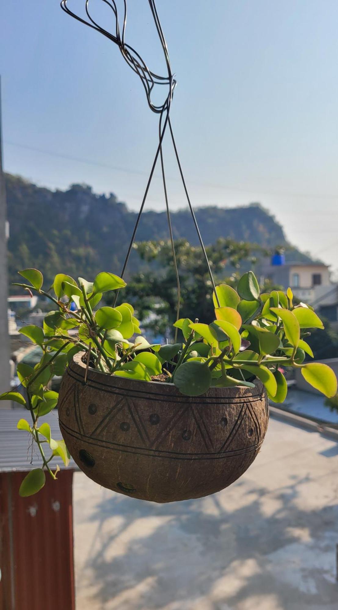 Tiny Garden House Cat Ba 호텔 Chan Chau 외부 사진