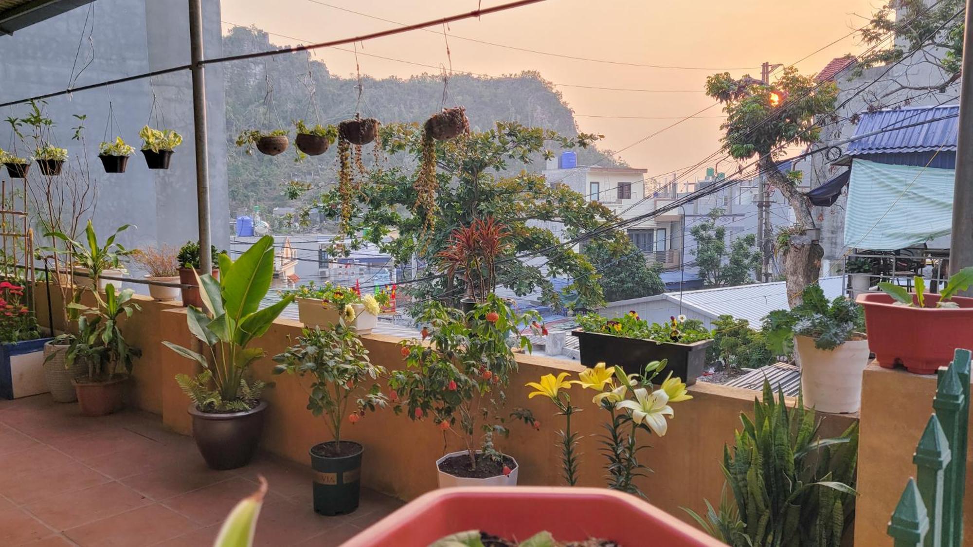 Tiny Garden House Cat Ba 호텔 Chan Chau 외부 사진
